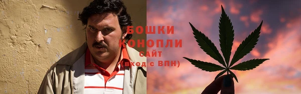 молекула духа Верхний Тагил