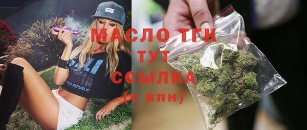 молекула духа Верхний Тагил